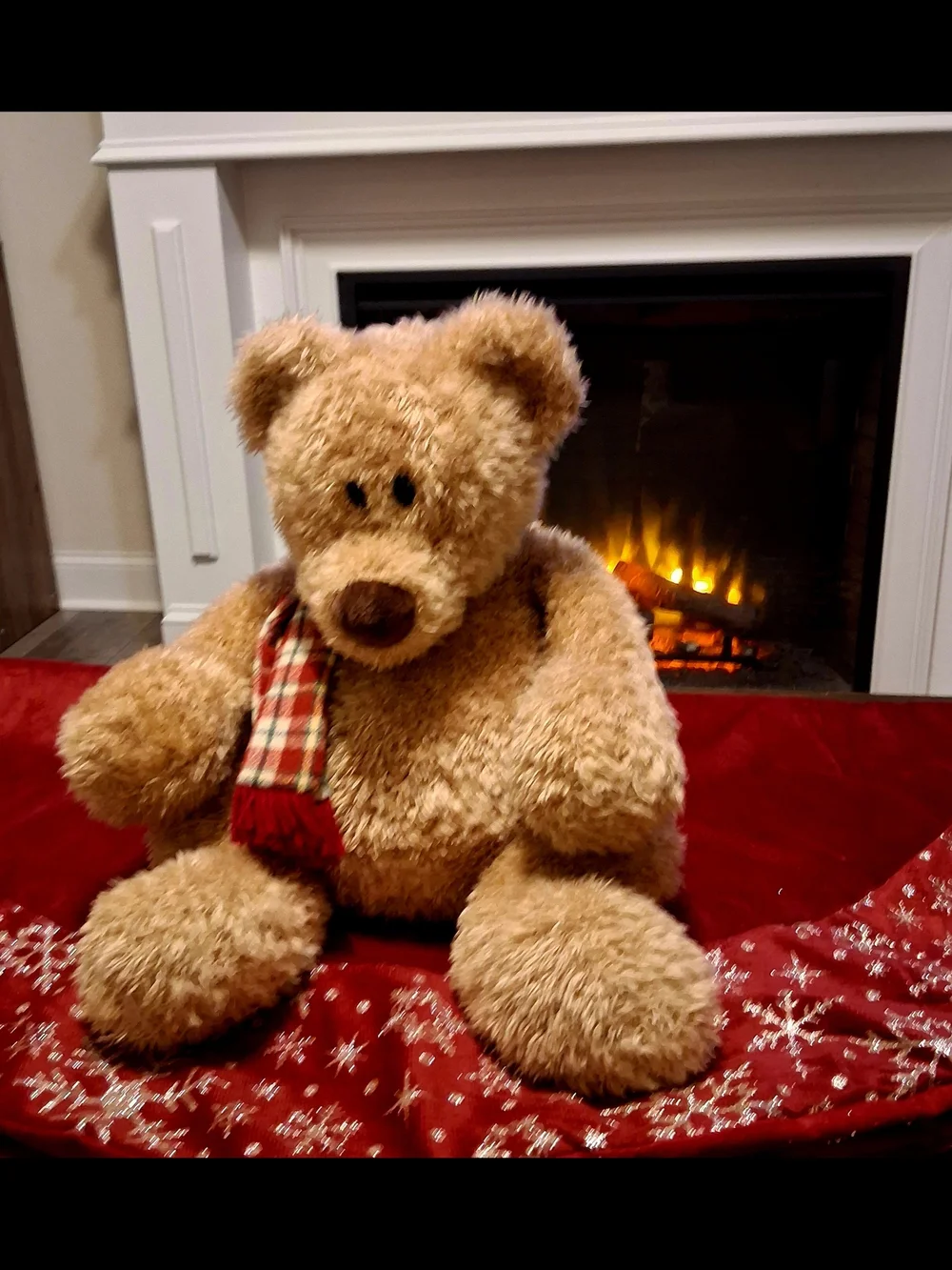 Gund Winter Bear